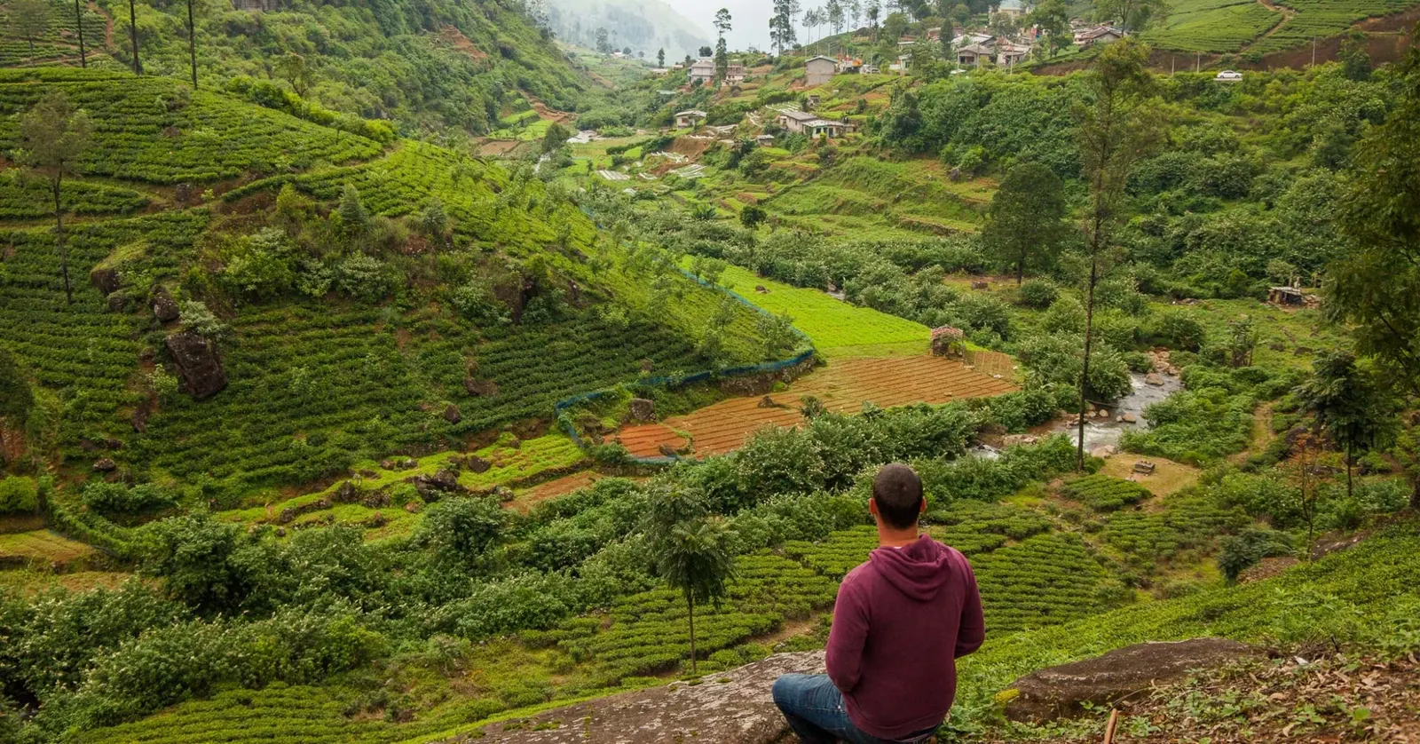 7-Day Classic Sri Lanka Cultural & Tea Country Tour - Sri Lanka Tour