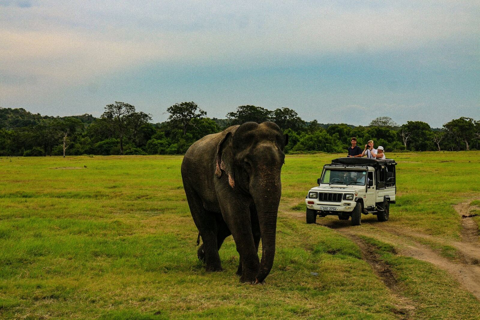 Yala National Park